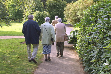 漫步在公园里的阳光照射路径的老年夫妇
