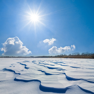雪在阳光下图片