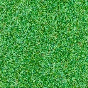 无缝的绿草纹理从高尔夫球场