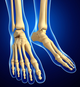 人类的脚图标x 射线的人类的脚骨骼结构无缝背景与人类脚印晚上雪地里