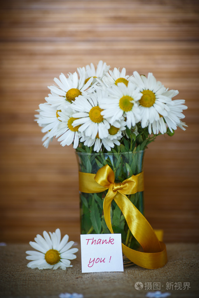 束美丽的白色雏菊