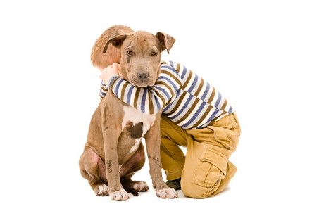 一个男孩抱着一只小狗比特犬的画像