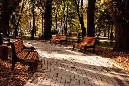 在秋天的公园长椅