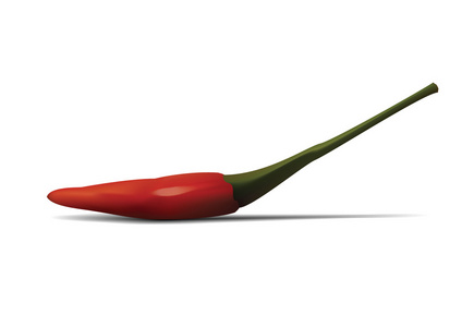 红辣椒。矢量图