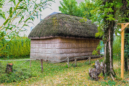 湿地植物的小屋