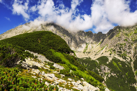 山风景