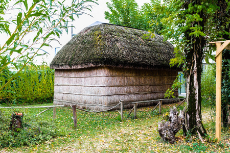 湿地植物的小屋图片