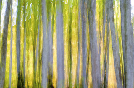 抽象森林