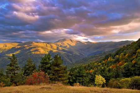 与多彩森林山秋天风景