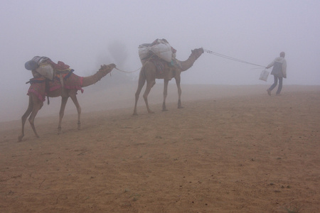 当地的导游牵着骆驼走在清晨的晨雾，塔尔渔民