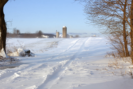 乡村道路上的雪吹动