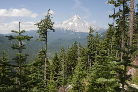 美丽的风景的胡德山在俄勒冈州，美国