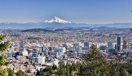 波特兰,俄勒冈州城市景观俄勒冈州波特兰市的美丽的夜晚远景美国