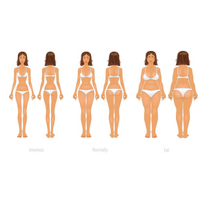 矢量图的不同的身体类型设置