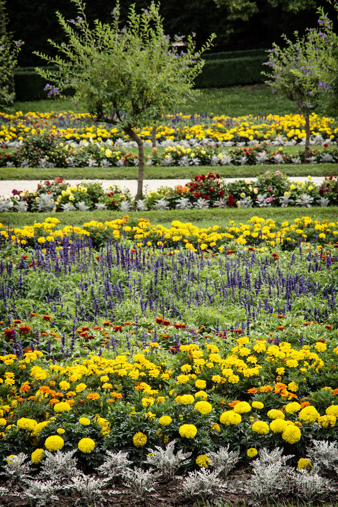 在城堡的花园里的花坛