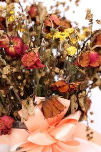 玫瑰花束的特写在夏季多云的天空背景下, 孩子们的手拿着一束枯萎的花