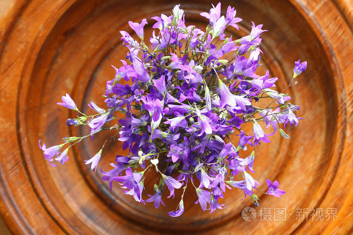 紫色铃铛花花束