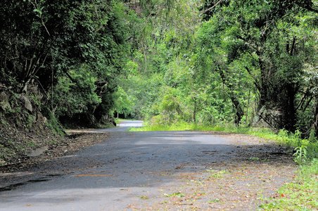 东方峡谷自然保护区的道路