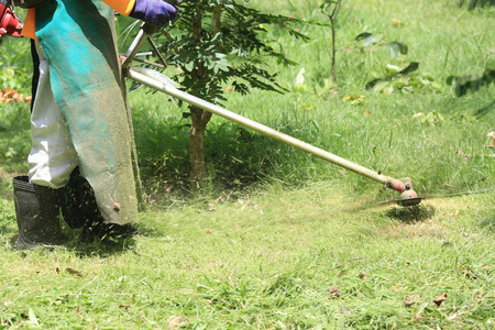 Rasenmher Arbeitnehmer Schneiden von Gras im grnen Feld