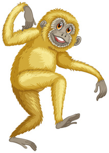 长臂猿长臂猿在树枝上卡通长臂猿悬挂在丛林背景前的树枝上.