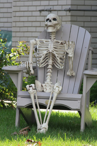 坐在院子里的椅子的骨架