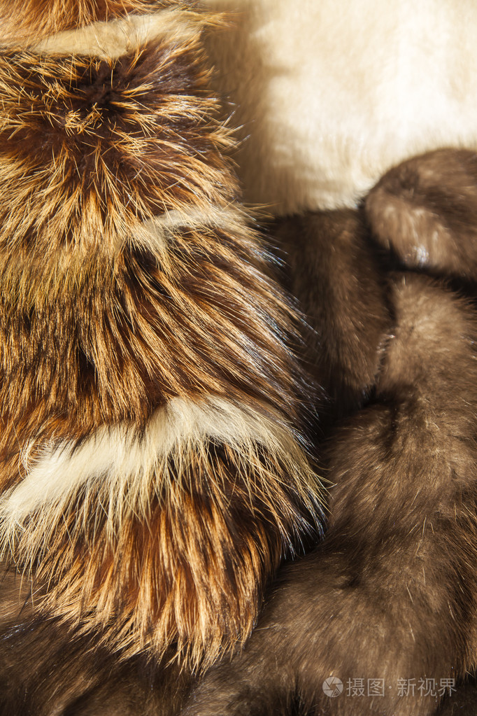 一只狐狸皮毛的产品