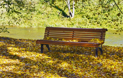 秋坐在公园的长椅图片