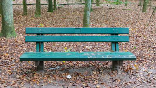 森林里的木制公园长凳