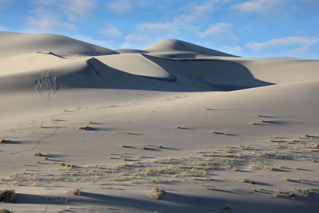 日出时的巨大沙丘