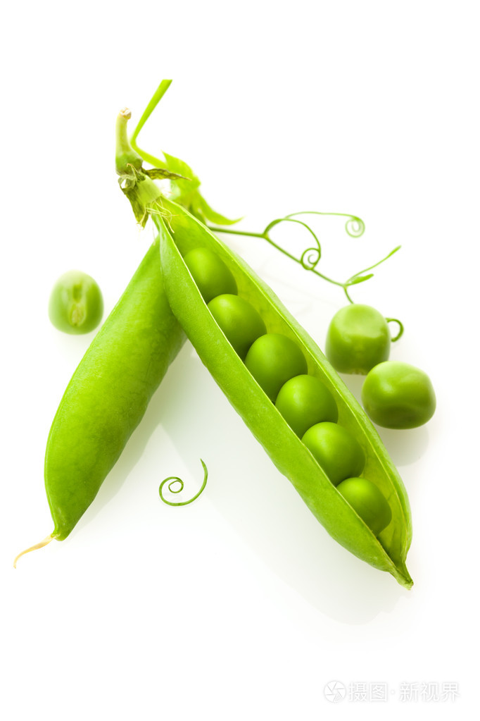 豌豆的豆荚开启和关闭上白色孤立
