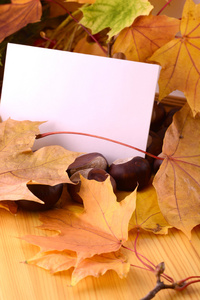背景与纸张和秋天的落叶