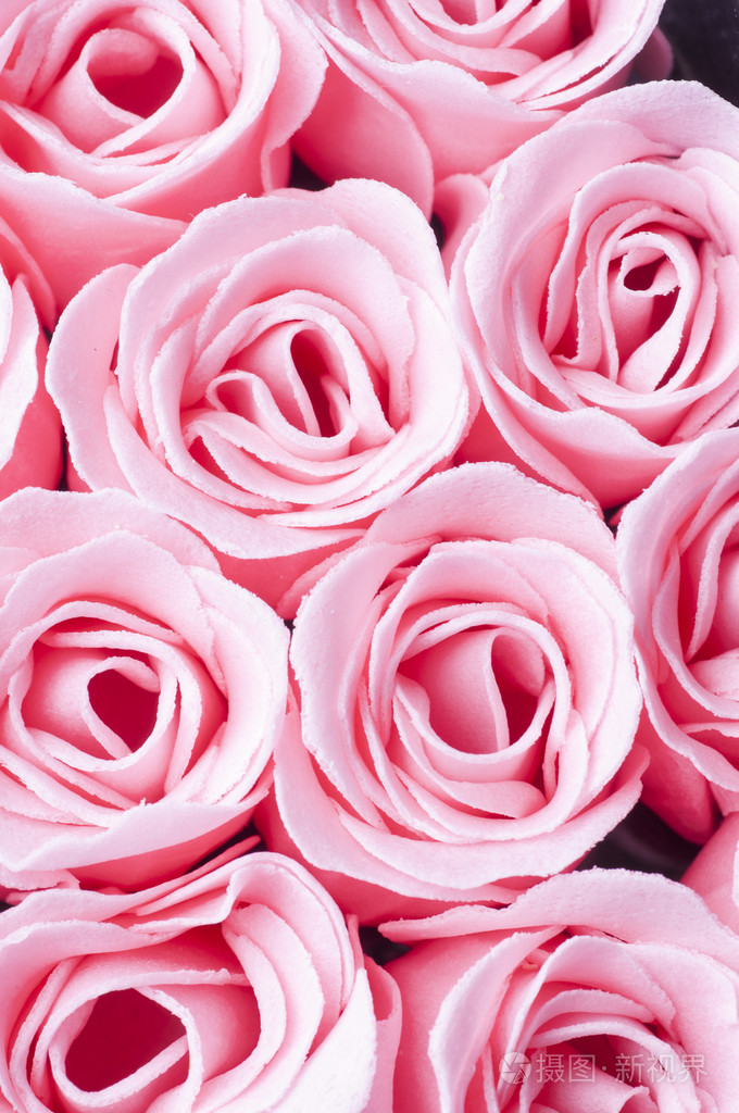粉色玫瑰背景
