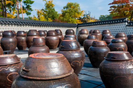 泡菜坛子图片