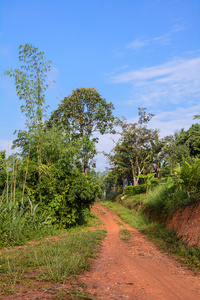 路由流量