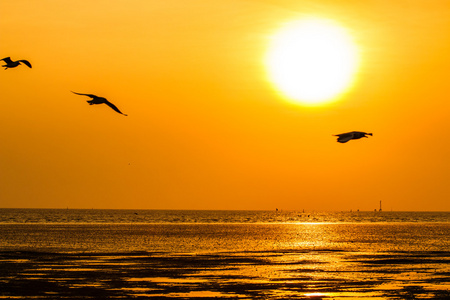 美丽的夕阳海面