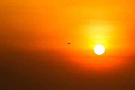 美丽的夕阳海面