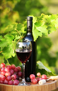 美味葡萄酒木桶上葡萄种植园背景上