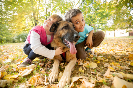 孩子们在公园与德国牧羊犬