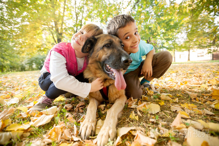 孩子们在公园与德国牧羊犬