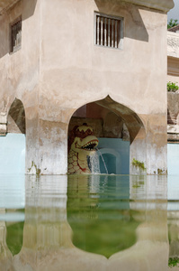 在塔曼纱丽水城堡的日惹苏丹国的古池龙喷泉