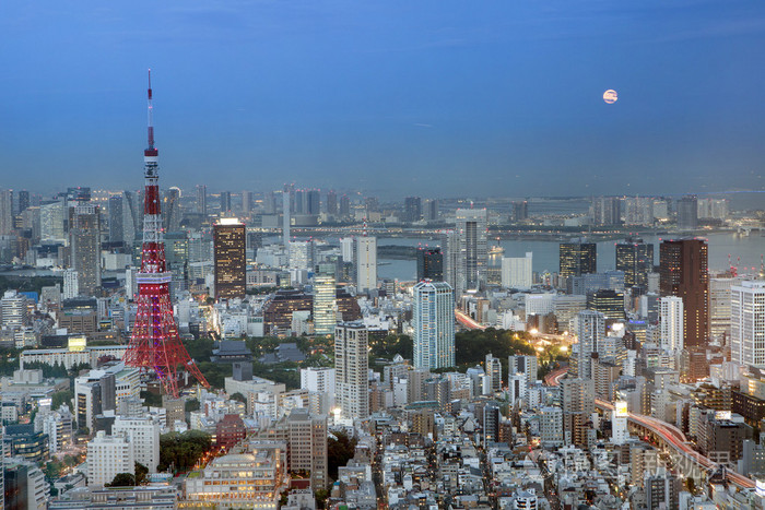 在夜晚的东京的城市天际线