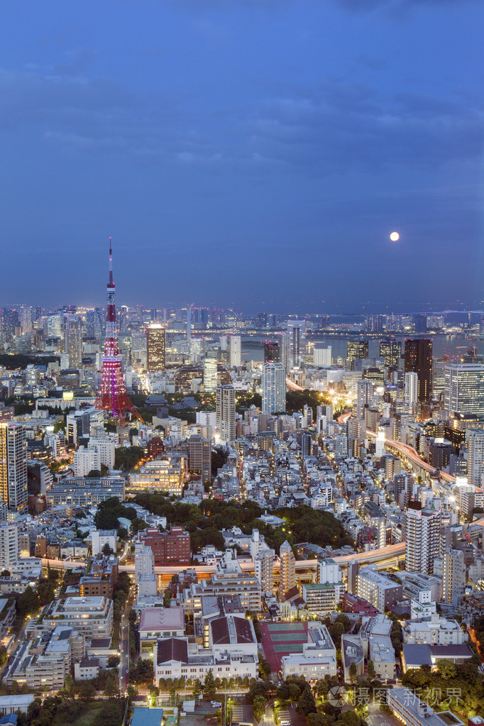 在夜晚的东京的城市天际线