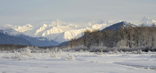 在阿拉斯加的 Snowcovered 山