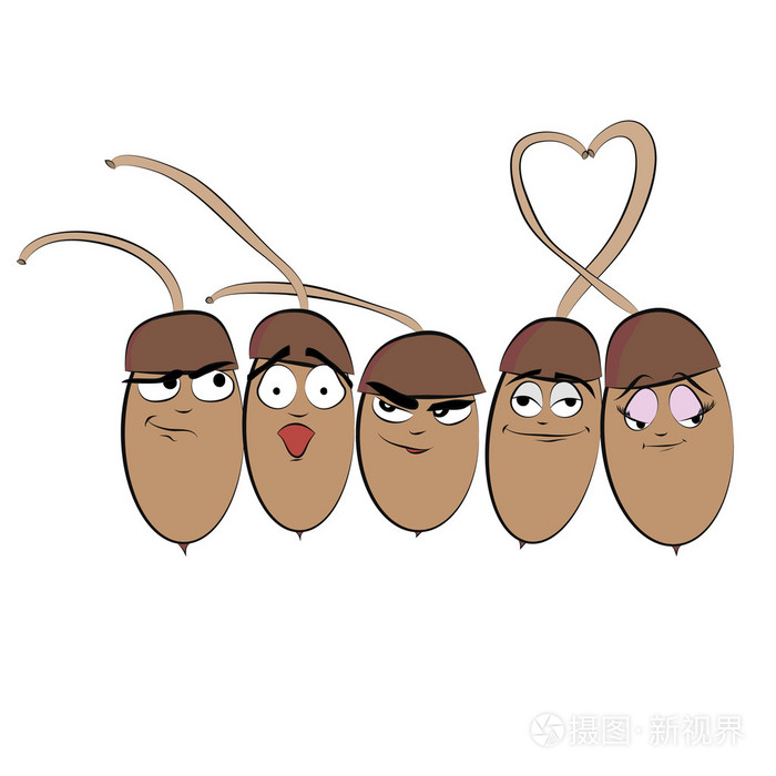 五个可爱的卡通橡子