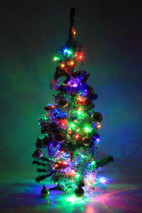 从颜色灯圣诞树