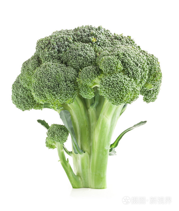 在白色背景上孤立的西兰花