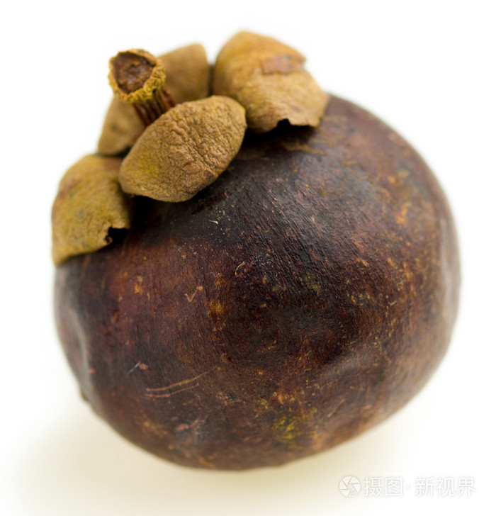 整个干紫色山竹