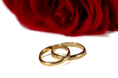 结婚戒指和白色的玫瑰隔离