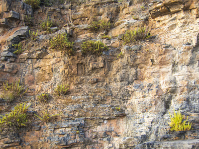 从背景图像用天然石材墙