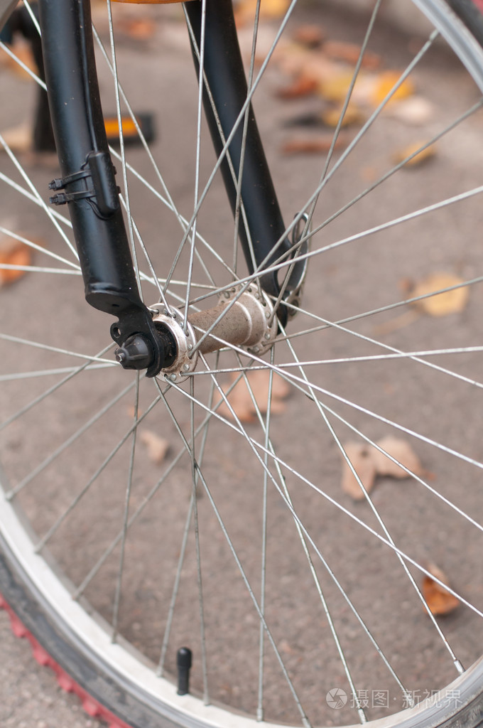 自行车的前轮